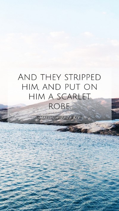 Picture 07 - Matthew 27:28 KJV Mobile Phone Wallpaper - And they stripped him, and put on him a scarlet - Mobile Bible Verse Wallpaper