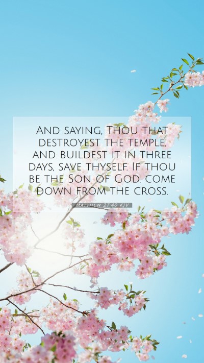 Picture 07 - Matthew 27:40 KJV Mobile Phone Wallpaper - And saying, Thou that destroyest the temple, and - Mobile Bible Verse Wallpaper