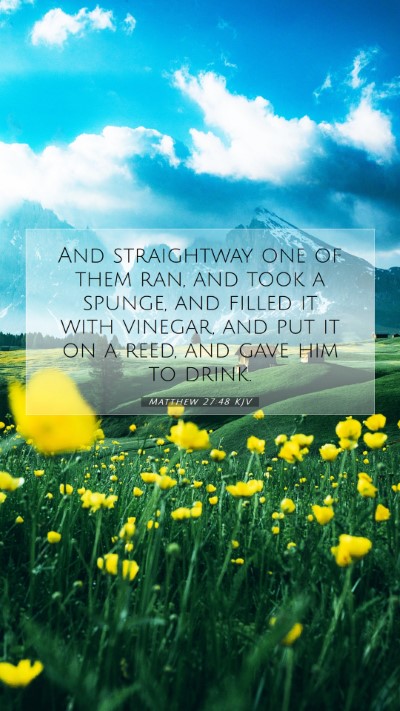 Picture 07 - Matthew 27:48 KJV Mobile Phone Wallpaper - And straightway one of them ran, and took a - Mobile Bible Verse Wallpaper