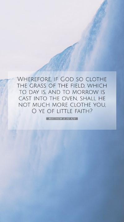 Picture 07 - Matthew 6:30 KJV Mobile Phone Wallpaper - Wherefore, if God so clothe the grass of the - Mobile Bible Verse Wallpaper