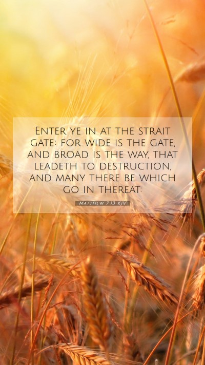 Picture 07 - Matthew 7:13 KJV Mobile Phone Wallpaper - Enter ye in at the strait gate: for wide is the - Mobile Bible Verse Wallpaper