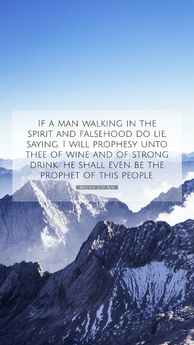 Picture 07 - Micah 2:11 KJV Mobile Phone Wallpaper - If a man walking in the spirit and falsehood do - Mobile Bible Verse Wallpaper