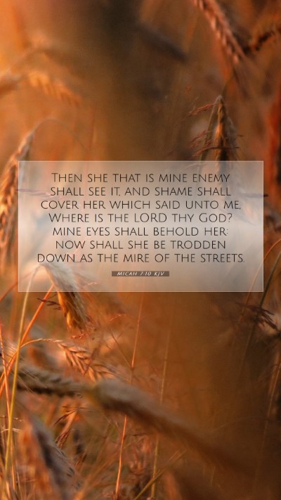 Picture 07 - Micah 7:10 KJV Mobile Phone Wallpaper - Then she that is mine enemy shall see it, and - Mobile Bible Verse Wallpaper