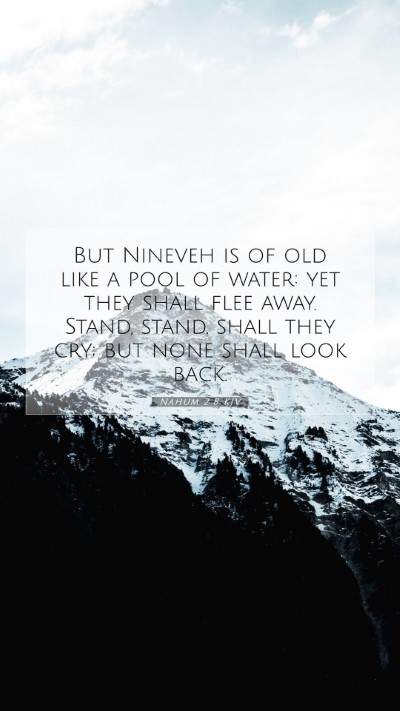 Picture 07 - Nahum 2:8 KJV Mobile Phone Wallpaper - But Nineveh is of old like a pool of water: yet - Mobile Bible Verse Wallpaper