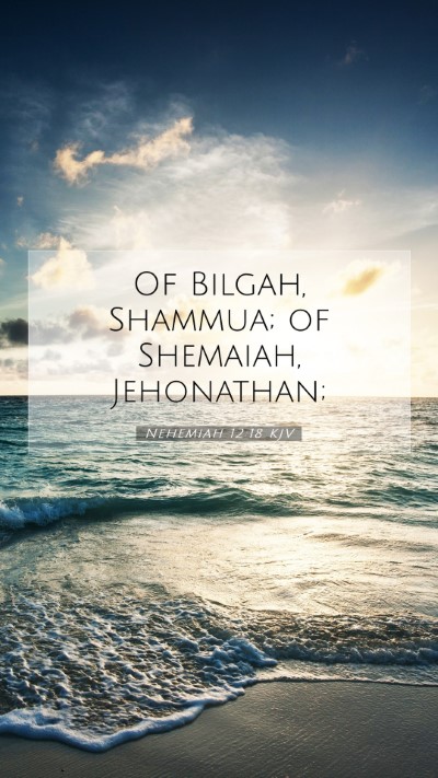 Picture 07 - Nehemiah 12:18 KJV Mobile Phone Wallpaper - Of Bilgah, Shammua; of Shemaiah, - Mobile Bible Verse Wallpaper