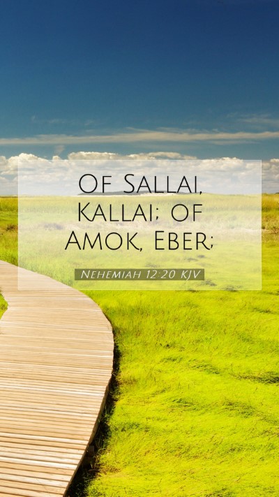 Picture 07 - Nehemiah 12:20 KJV Mobile Phone Wallpaper - Of Sallai, Kallai; of Amok, - Mobile Bible Verse Wallpaper