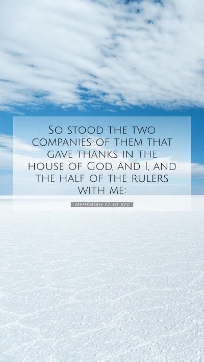 Picture 07 - Nehemiah 12:40 KJV Mobile Phone Wallpaper - So stood the two companies of them that gave - Mobile Bible Verse Wallpaper