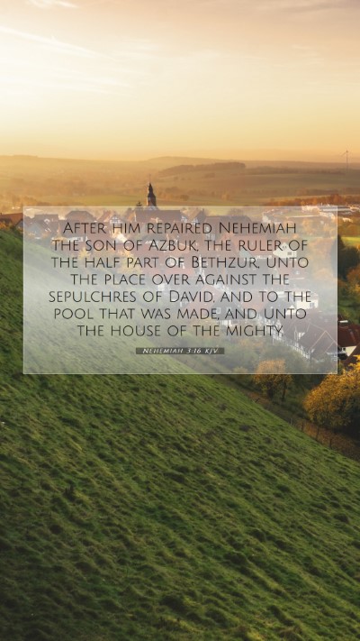 Picture 07 - Nehemiah 3:16 KJV Mobile Phone Wallpaper - After him repaired Nehemiah the son of Azbuk, the - Mobile Bible Verse Wallpaper