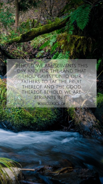 Picture 07 - Nehemiah 9:36 KJV Mobile Phone Wallpaper - Behold, we are servants this day, and for the - Mobile Bible Verse Wallpaper