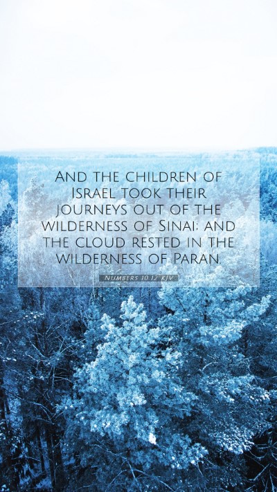 Picture 07 - Numbers 10:12 KJV Mobile Phone Wallpaper - And the children of Israel took their journeys - Mobile Bible Verse Wallpaper