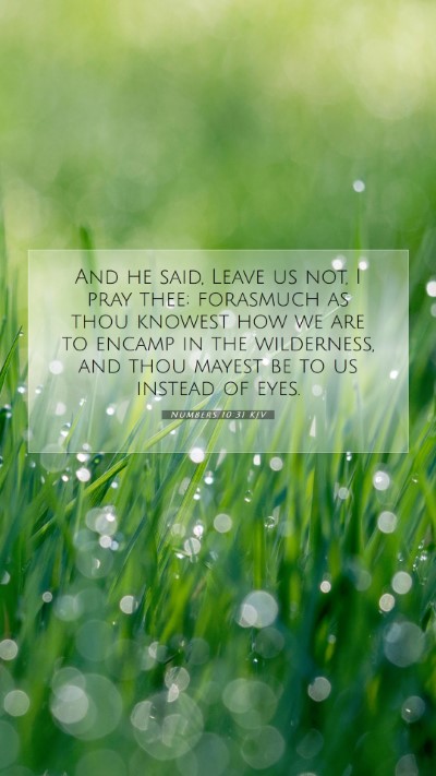 Picture 07 - Numbers 10:31 KJV Mobile Phone Wallpaper - And he said, Leave us not, I pray thee; forasmuch - Mobile Bible Verse Wallpaper
