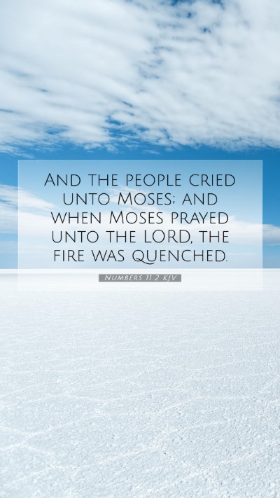 Picture 07 - Numbers 11:2 KJV Mobile Phone Wallpaper - And the people cried unto Moses; and when Moses - Mobile Bible Verse Wallpaper