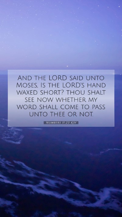 Picture 07 - Numbers 11:23 KJV Mobile Phone Wallpaper - And the LORD said unto Moses, Is the LORD's hand - Mobile Bible Verse Wallpaper