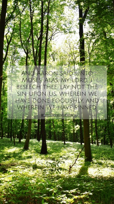 Picture 07 - Numbers 12:11 KJV Mobile Phone Wallpaper - And Aaron said unto Moses, Alas, my lord, I - Mobile Bible Verse Wallpaper