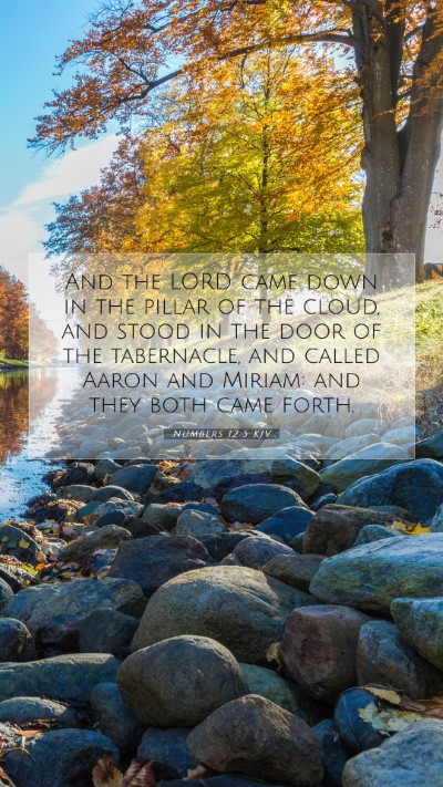 Picture 07 - Numbers 12:5 KJV Mobile Phone Wallpaper - And the LORD came down in the pillar of the - Mobile Bible Verse Wallpaper
