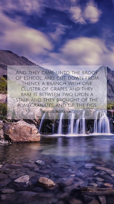 Picture 07 - Numbers 13:23 KJV Mobile Phone Wallpaper - And they came unto the brook of Eshcol, and cut - Mobile Bible Verse Wallpaper