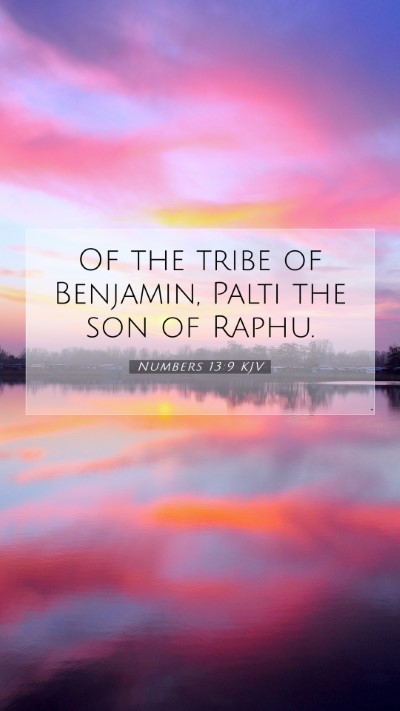 Picture 07 - Numbers 13:9 KJV Mobile Phone Wallpaper - Of the tribe of Benjamin, Palti the son of - Mobile Bible Verse Wallpaper