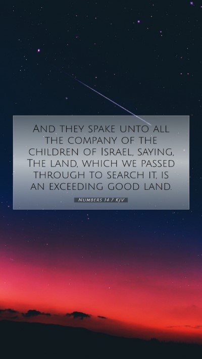 Picture 07 - Numbers 14:7 KJV Mobile Phone Wallpaper - And they spake unto all the company of the - Mobile Bible Verse Wallpaper
