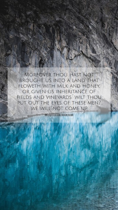 Picture 07 - Numbers 16:14 KJV Mobile Phone Wallpaper - Moreover thou hast not brought us into a land - Mobile Bible Verse Wallpaper
