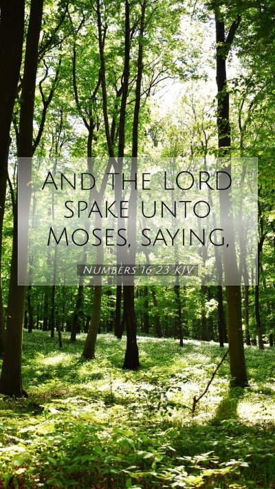 Picture 07 - Numbers 16:23 KJV Mobile Phone Wallpaper - And the LORD spake unto Moses, - Mobile Bible Verse Wallpaper