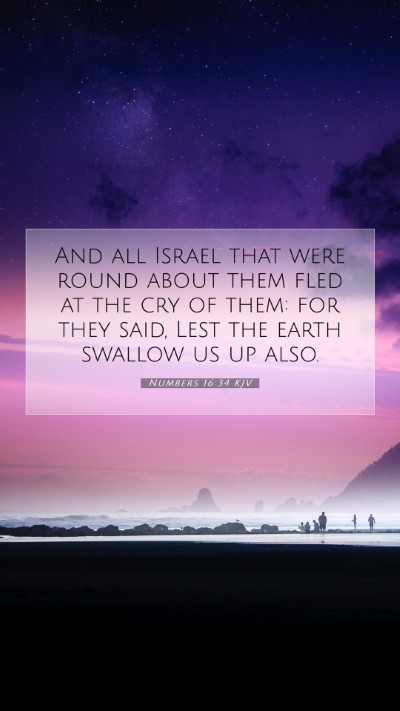 Picture 07 - Numbers 16:34 KJV Mobile Phone Wallpaper - And all Israel that were round about them fled at - Mobile Bible Verse Wallpaper