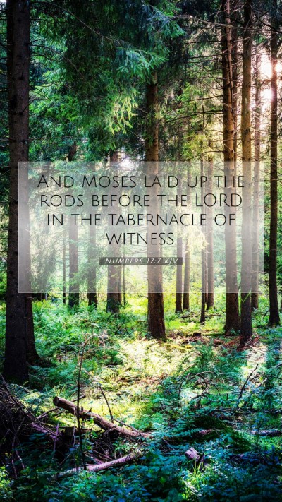 Picture 07 - Numbers 17:7 KJV Mobile Phone Wallpaper - And Moses laid up the rods before the LORD in the - Mobile Bible Verse Wallpaper