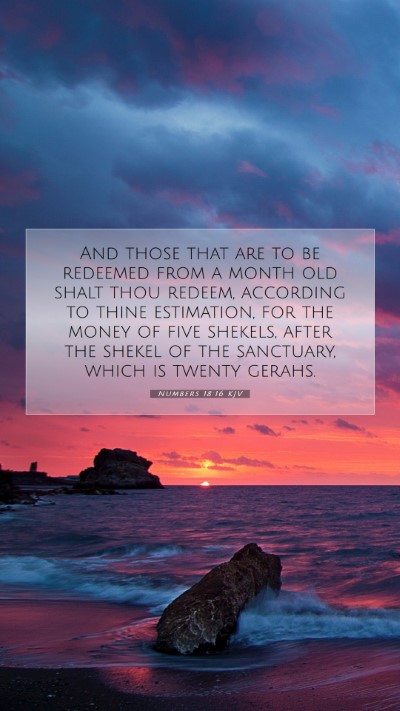 Picture 07 - Numbers 18:16 KJV Mobile Phone Wallpaper - And those that are to be redeemed from a month - Mobile Bible Verse Wallpaper
