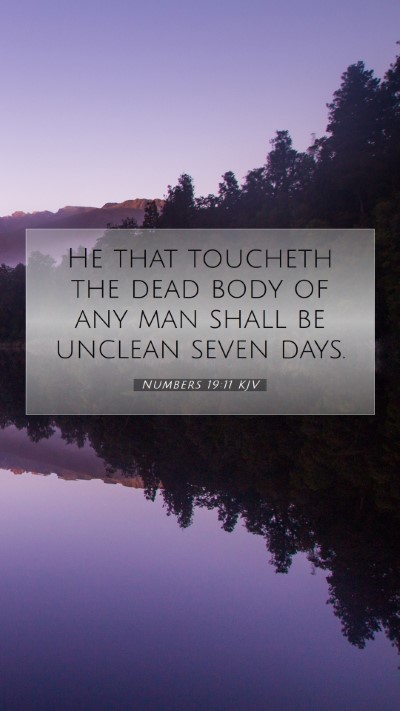 Picture 07 - Numbers 19:11 KJV Mobile Phone Wallpaper - He that toucheth the dead body of any man shall - Mobile Bible Verse Wallpaper