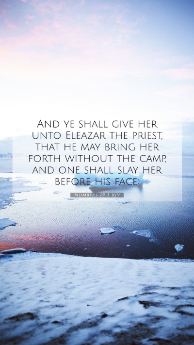 Picture 07 - Numbers 19:3 KJV Mobile Phone Wallpaper - And ye shall give her unto Eleazar the priest, - Mobile Bible Verse Wallpaper