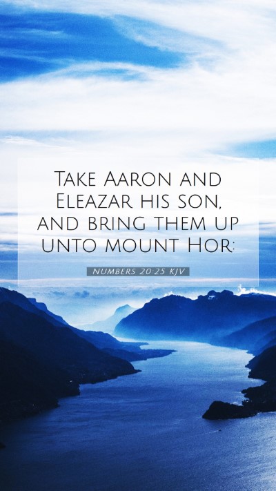 Picture 07 - Numbers 20:25 KJV Mobile Phone Wallpaper - Take Aaron and Eleazar his son, and bring them up - Mobile Bible Verse Wallpaper