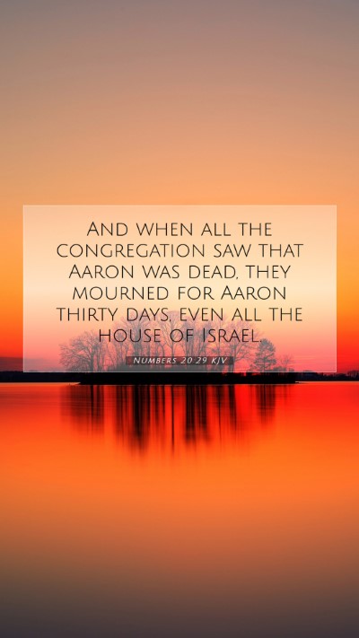 Picture 07 - Numbers 20:29 KJV Mobile Phone Wallpaper - And when all the congregation saw that Aaron was - Mobile Bible Verse Wallpaper