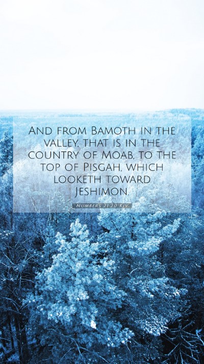 Picture 07 - Numbers 21:20 KJV Mobile Phone Wallpaper - And from Bamoth in the valley, that is in the - Mobile Bible Verse Wallpaper