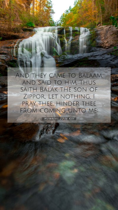 Picture 07 - Numbers 22:16 KJV Mobile Phone Wallpaper - And they came to Balaam, and said to him, Thus - Mobile Bible Verse Wallpaper