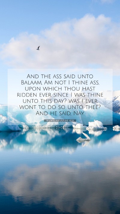 Picture 07 - Numbers 22:30 KJV Mobile Phone Wallpaper - And the ass said unto Balaam, Am not I thine ass, - Mobile Bible Verse Wallpaper