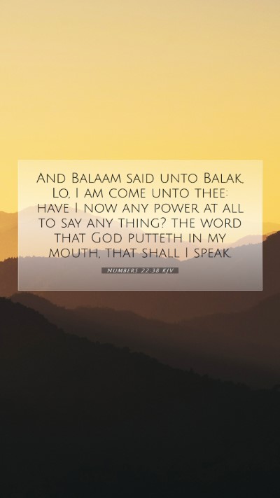 Picture 07 - Numbers 22:38 KJV Mobile Phone Wallpaper - And Balaam said unto Balak, Lo, I am come unto - Mobile Bible Verse Wallpaper