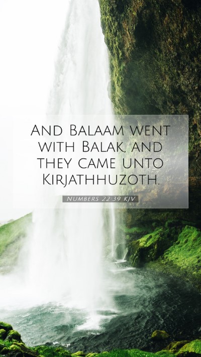 Picture 07 - Numbers 22:39 KJV Mobile Phone Wallpaper - And Balaam went with Balak, and they came unto - Mobile Bible Verse Wallpaper