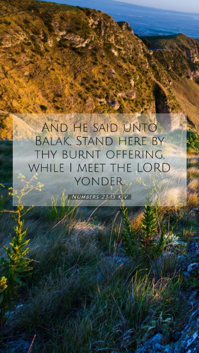Picture 07 - Numbers 23:15 KJV Mobile Phone Wallpaper - And he said unto Balak, Stand here by thy burnt - Mobile Bible Verse Wallpaper