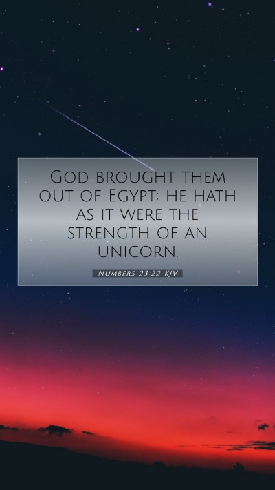 Picture 07 - Numbers 23:22 KJV Mobile Phone Wallpaper - God brought them out of Egypt; he hath as it were - Mobile Bible Verse Wallpaper