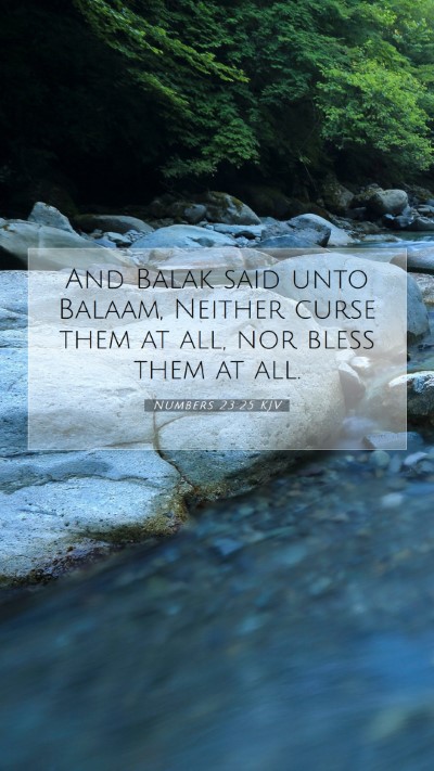 Picture 07 - Numbers 23:25 KJV Mobile Phone Wallpaper - And Balak said unto Balaam, Neither curse them at - Mobile Bible Verse Wallpaper