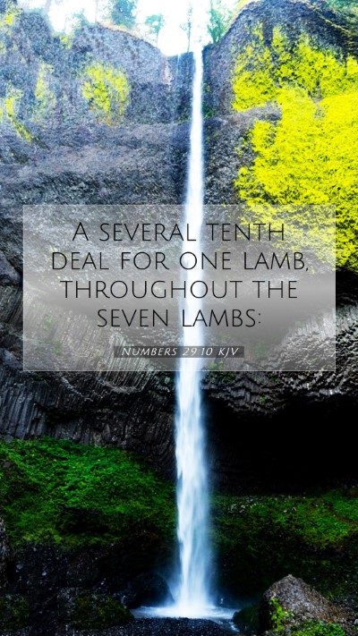 Picture 07 - Numbers 29:10 KJV Mobile Phone Wallpaper - A several tenth deal for one lamb, throughout the - Mobile Bible Verse Wallpaper