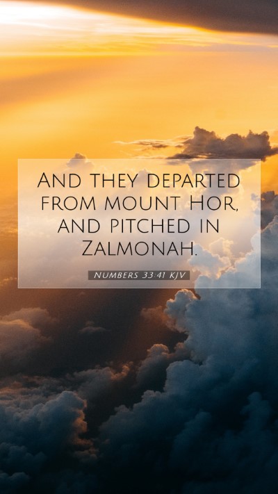 Picture 07 - Numbers 33:41 KJV Mobile Phone Wallpaper - And they departed from mount Hor, and pitched in - Mobile Bible Verse Wallpaper