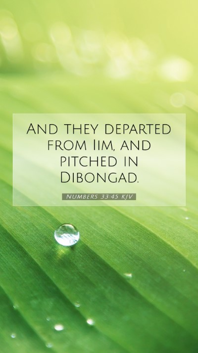 Picture 07 - Numbers 33:45 KJV Mobile Phone Wallpaper - And they departed from Iim, and pitched in - Mobile Bible Verse Wallpaper