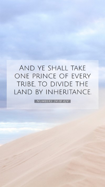Picture 07 - Numbers 34:18 KJV Mobile Phone Wallpaper - And ye shall take one prince of every tribe, to - Mobile Bible Verse Wallpaper