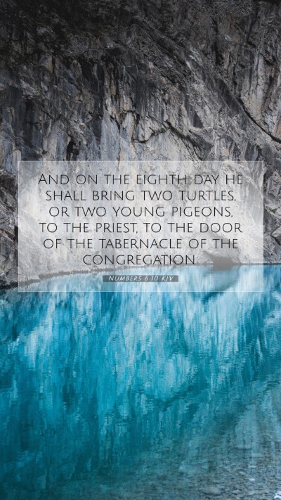Picture 07 - Numbers 6:10 KJV Mobile Phone Wallpaper - And on the eighth day he shall bring two turtles, - Mobile Bible Verse Wallpaper