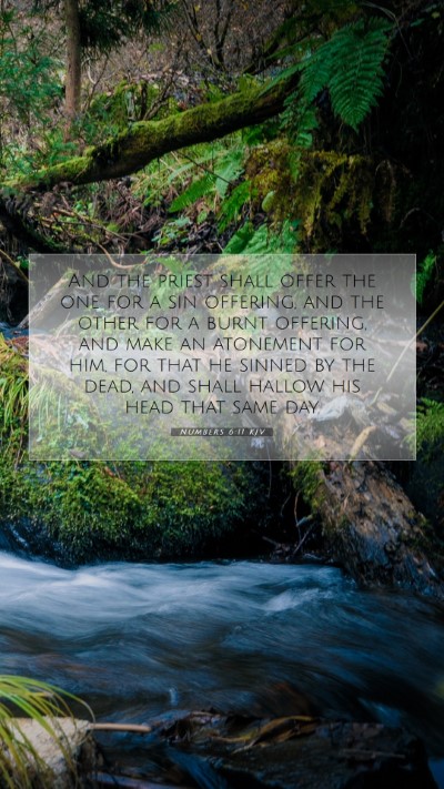 Picture 07 - Numbers 6:11 KJV Mobile Phone Wallpaper - And the priest shall offer the one for a sin - Mobile Bible Verse Wallpaper