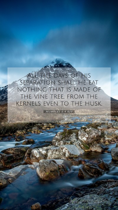 Picture 07 - Numbers 6:4 KJV Mobile Phone Wallpaper - All the days of his separation shall he eat - Mobile Bible Verse Wallpaper