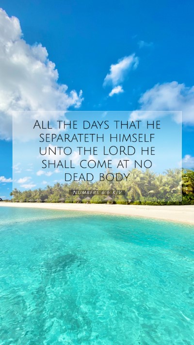 Picture 07 - Numbers 6:6 KJV Mobile Phone Wallpaper - All the days that he separateth himself unto the - Mobile Bible Verse Wallpaper