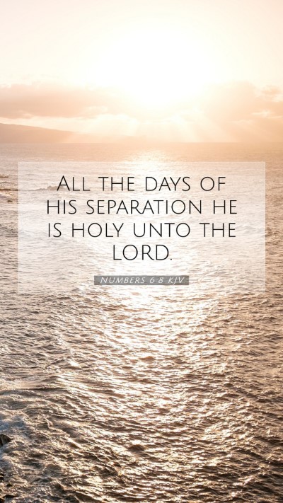 Picture 07 - Numbers 6:8 KJV Mobile Phone Wallpaper - All the days of his separation he is holy unto - Mobile Bible Verse Wallpaper