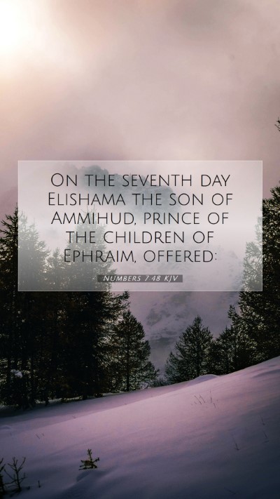 Picture 07 - Numbers 7:48 KJV Mobile Phone Wallpaper - On the seventh day Elishama the son of Ammihud, - Mobile Bible Verse Wallpaper