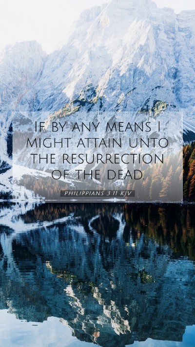 Picture 07 - Philippians 3:11 KJV Mobile Phone Wallpaper - If by any means I might attain unto the - Mobile Bible Verse Wallpaper